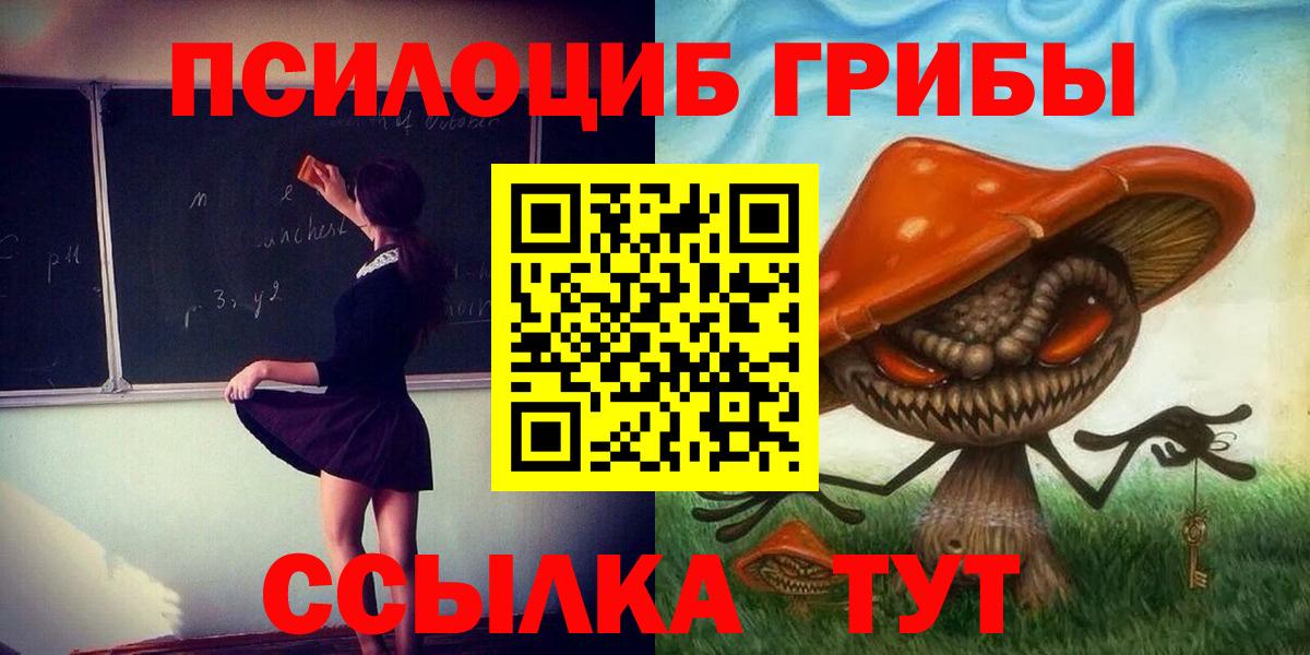 Комсомольск-на-Амуре  Псилоцибиновые грибы Psilocybine cubensis  Псилоцибиновые грибы MAGIC MUSHROOMS  Вход с VPN 